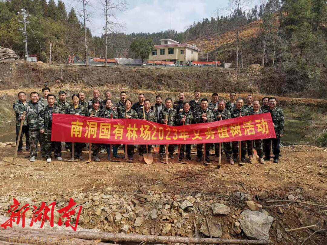 南洞国有林场开展义务植树活动_邵阳头条网